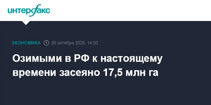 Озимыми в РФ к настоящему времени засеяно 17,5 млн га