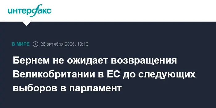Бернем не ожидает возвращения Великобритании в ЕС до следующих выборов в парламент
