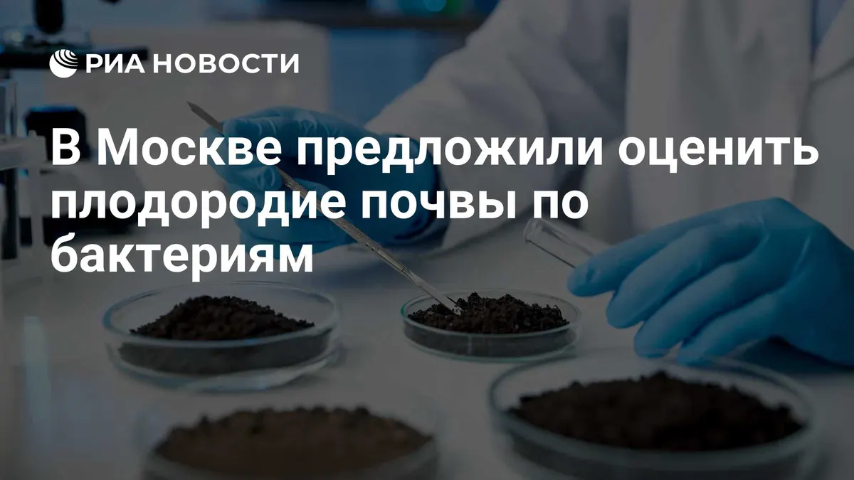 В Москве предложили оценить плодородие почвы по бактериям