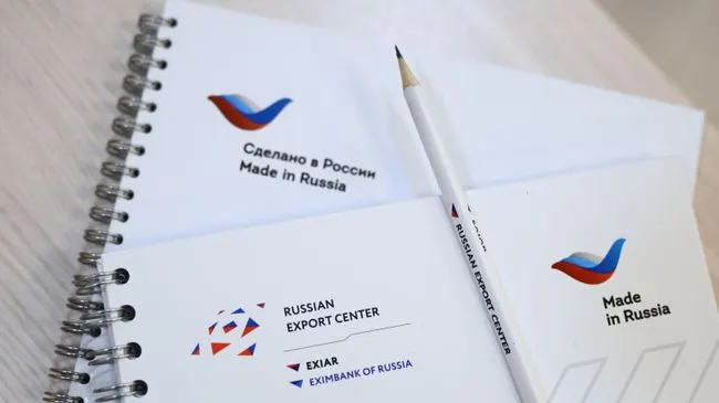 РЭЦ планирует адаптировать решения для расчетов под задачи стран Африки