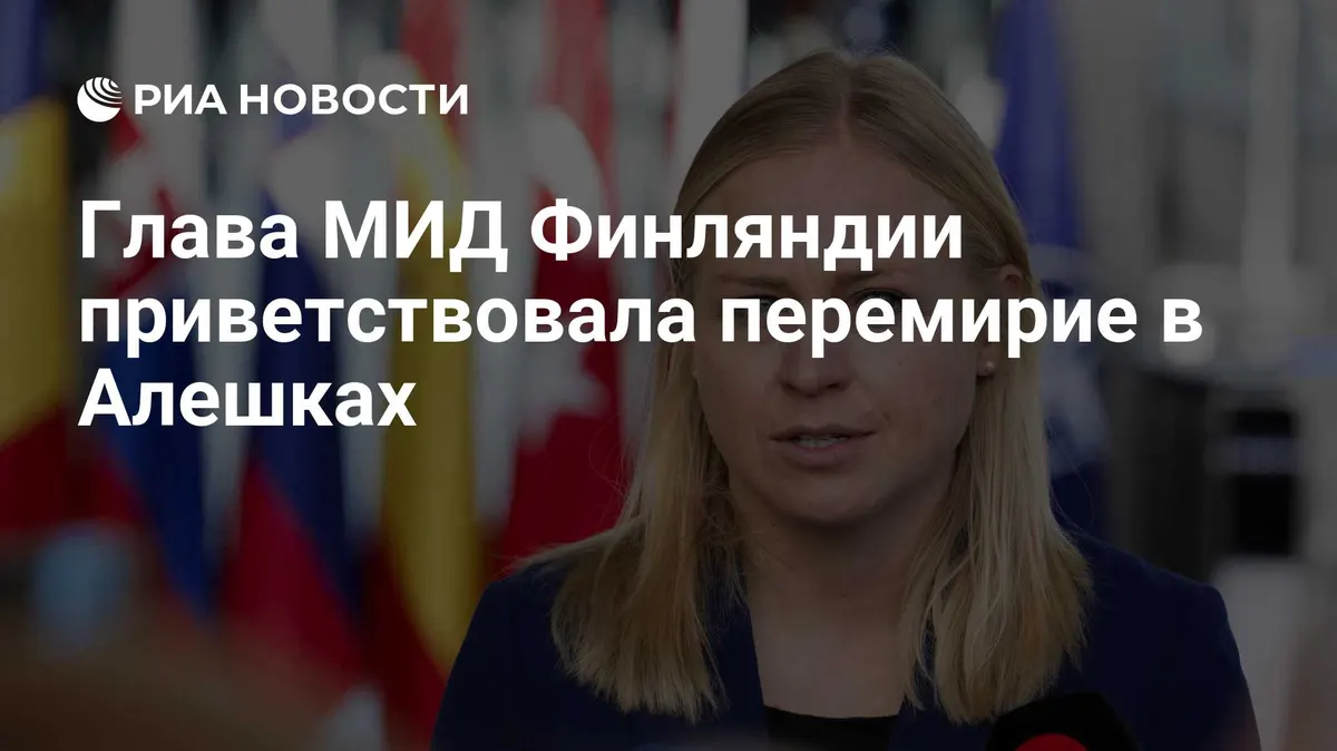 Глава МИД Финляндии приветствовала перемирие в Алешках