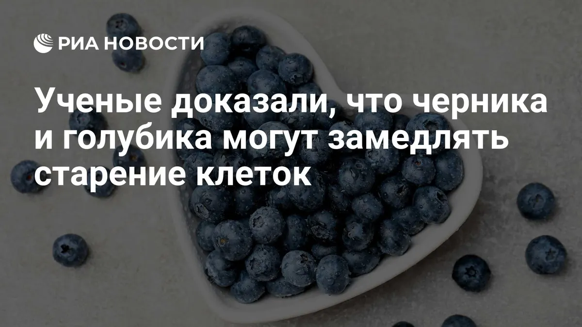 Ученые доказали, что черника и голубика могут замедлять старение клеток