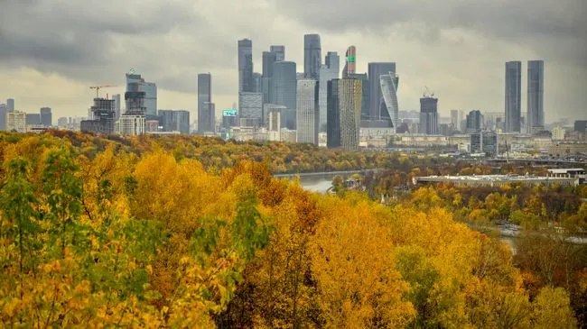 Россия готова организовать встречу Эфиопии и Эритреи в Москве