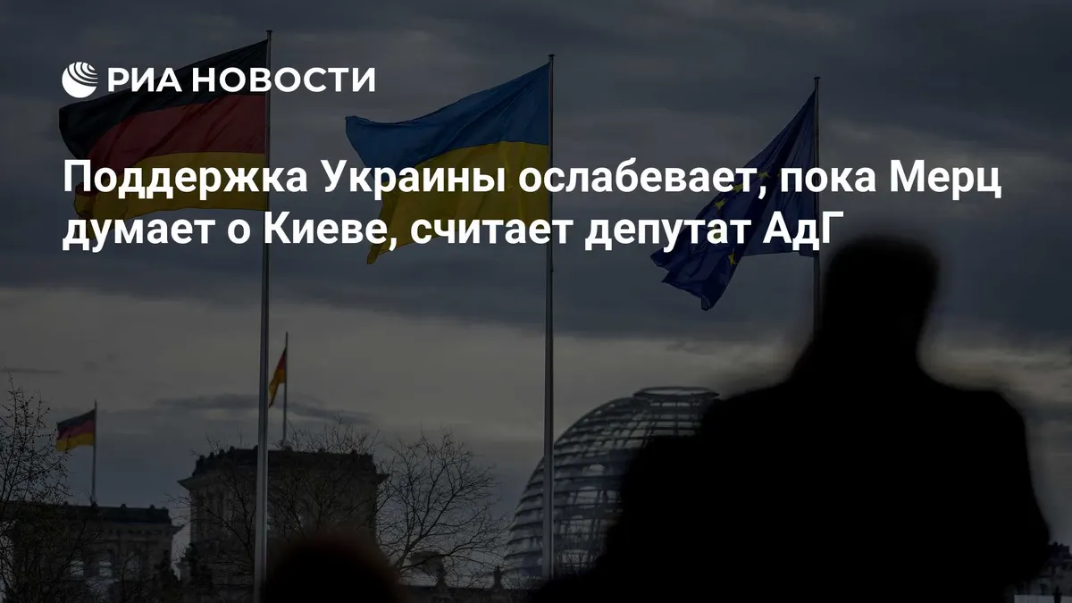 Поддержка Украины ослабевает, пока Мерц думает о Киеве, считает депутат АдГ