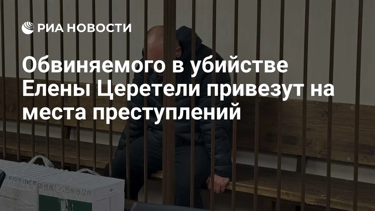 Обвиняемого в убийстве Елены Церетели привезут на места преступлений