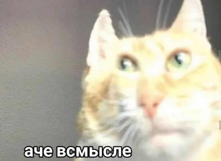 Ситуация в крипте за последние 24 часа